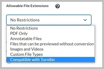 File type options for Turnitin submissions.